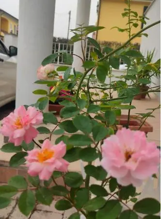 Casa Delle Rose Holiday home *